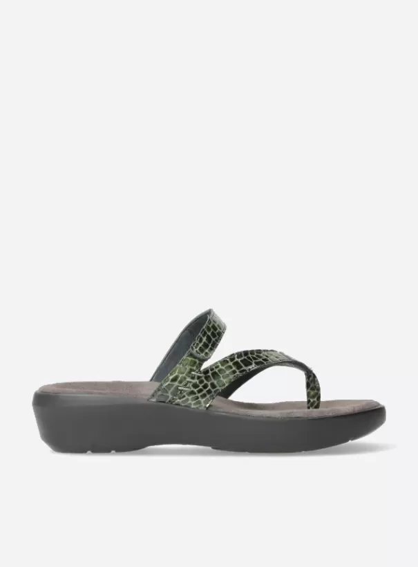 Slippers<Wolky Bassa groen crocolook lakleer