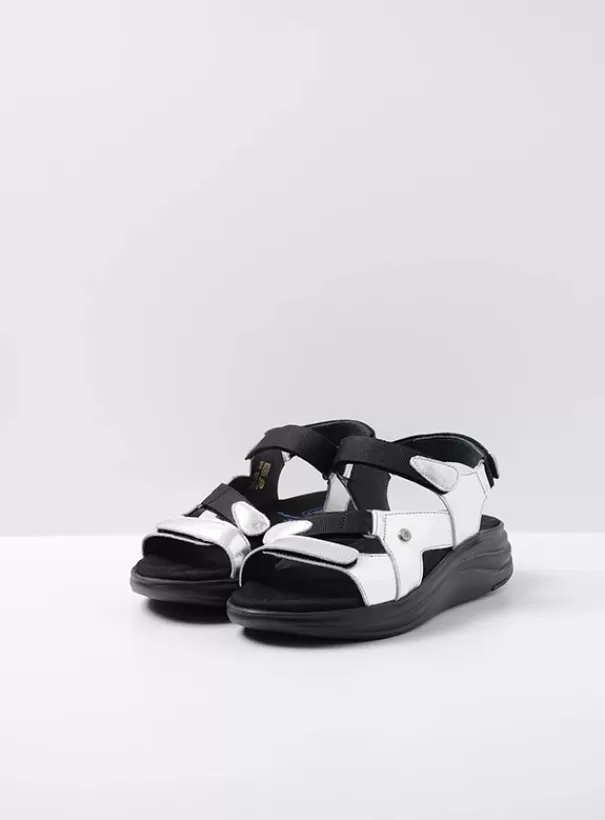 Voorjaar/zomer 2024 | Sandalen<Wolky Cirro zilver leer