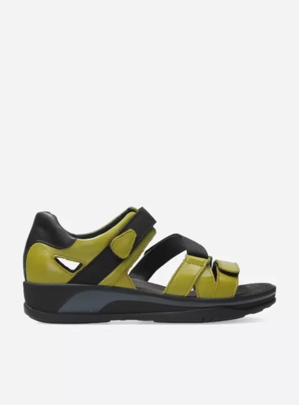 Sandalen | Voorjaar/zomer 2024<Wolky Desh olijfgroen leer