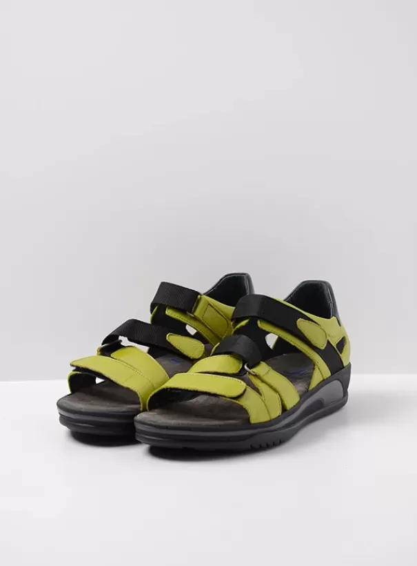 Sandalen | Voorjaar/zomer 2024<Wolky Desh olijfgroen leer