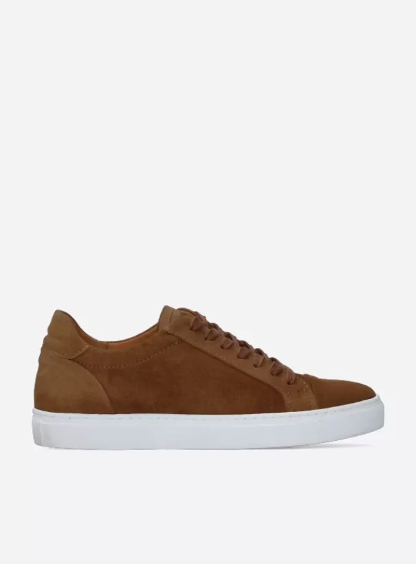 Veterschoenen | Nette schoenen heren<Wolky Forecheck cognac suede