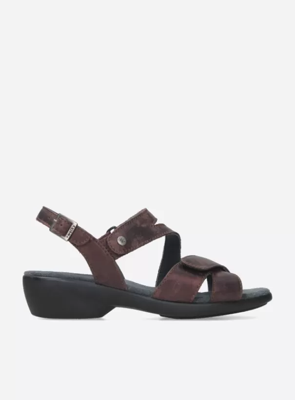 Sandalen<Wolky Fria mokka nubuck