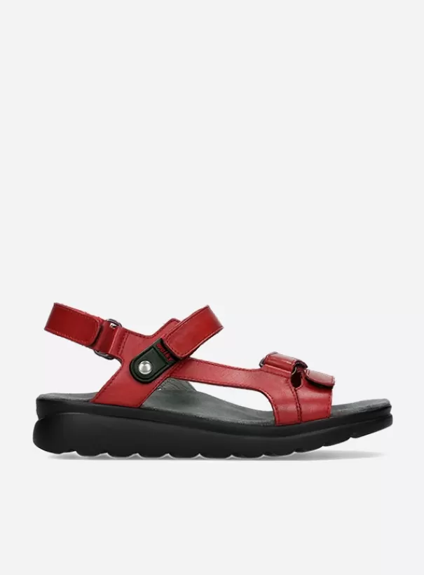 Sandalen | Voorjaar/zomer 2024<Wolky Mile rood leer